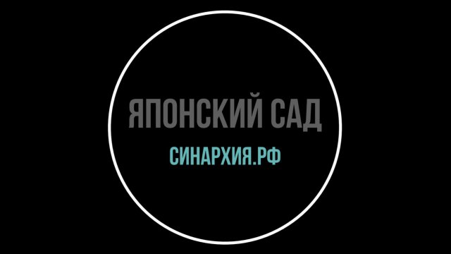 Японский сад в парке Галицкого