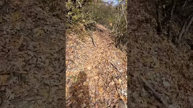 Когда пошли без экскурсовода. Часть 2